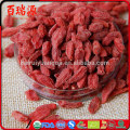 goji orgânico goji bagas de exportação de bagas de Ningxia